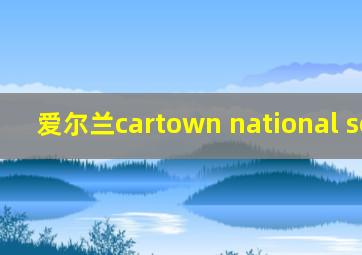 爱尔兰cartown national school